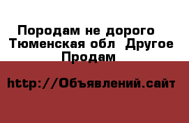 Породам не дорого - Тюменская обл. Другое » Продам   